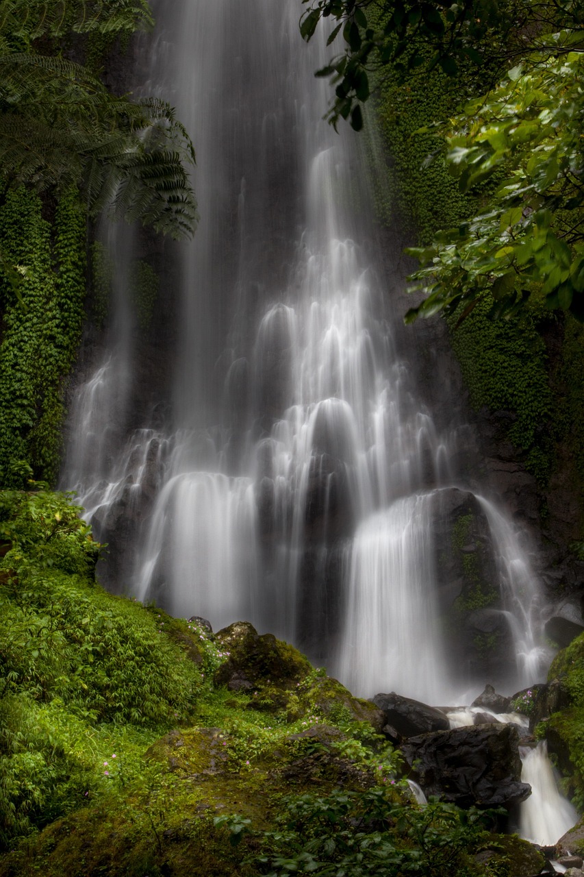 Lush forests and waterfalls help make Great Smoky Mountains the most visited national park in the country.